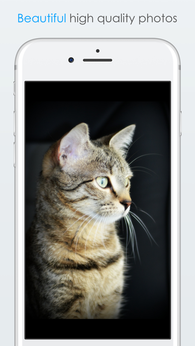 How to cancel & delete Shake for Cats from iphone & ipad 2