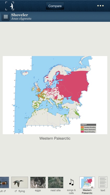 Birds of Northern Europe