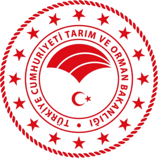 Ava Avcı Download