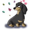 Cute Dachshund Dog Stickers