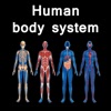 The Amazing Human System