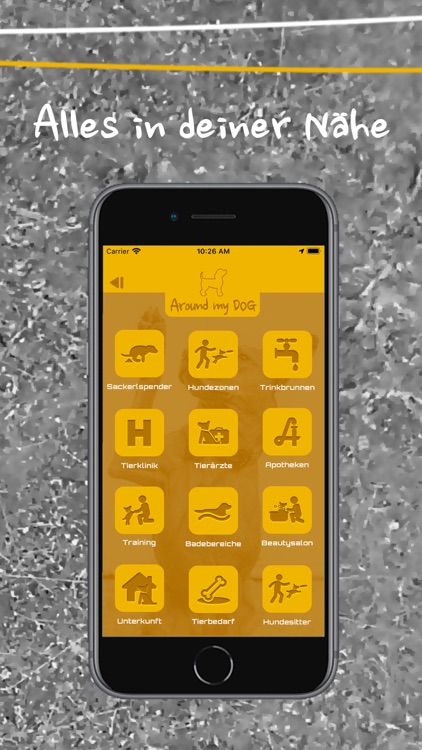 DOGstar Hunde Community App screenshot-6