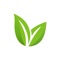 Shop groceries online and get fresh food delivered directly at your doorsteps with same-day delivery option