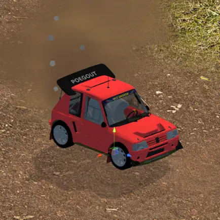 Agile Rally Driver Читы