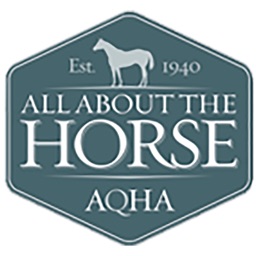 AQHA 2021 Rulebook