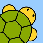 Turtles - Programming Basics