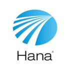 Hana Setups