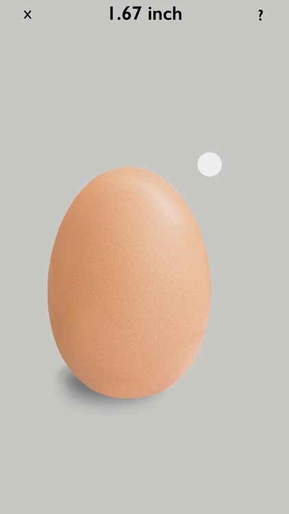 Egg Timer Pro +