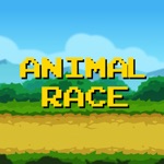 Animal Race 애니멀 레이스