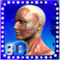 delete Female Anatomy 3D Visualizer