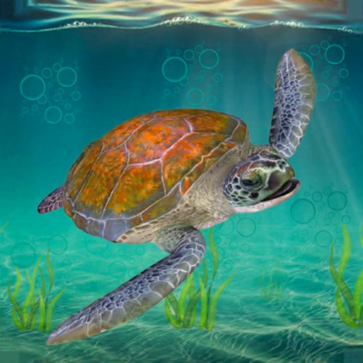 Sea Turtle Survival Sim Games by Usman Sadiq