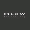 Blow Hairdressing