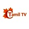 This app shows the content of movies produced by Tamil Nadu state of India based producers