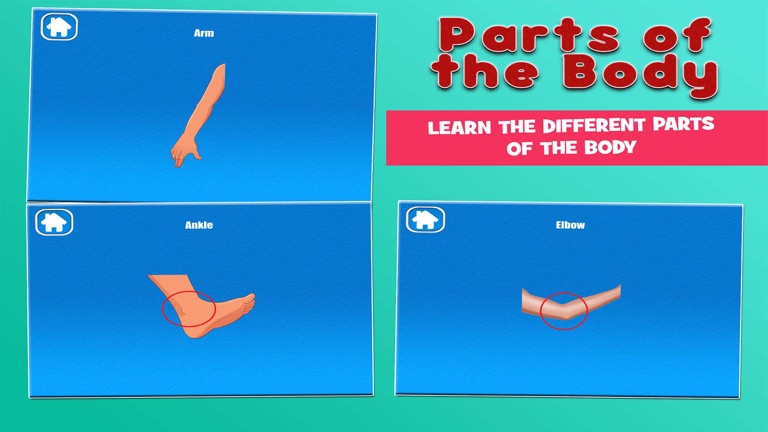 【图】Parts of the Body(截图2) 【图】Parts of the Body(截图2)