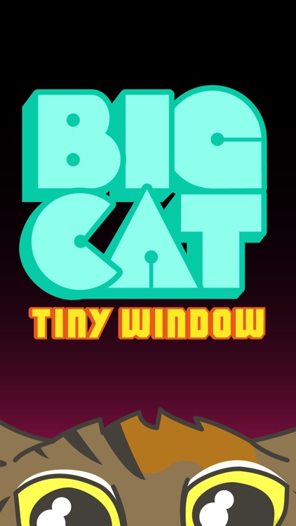 Big Cat Tiny Window