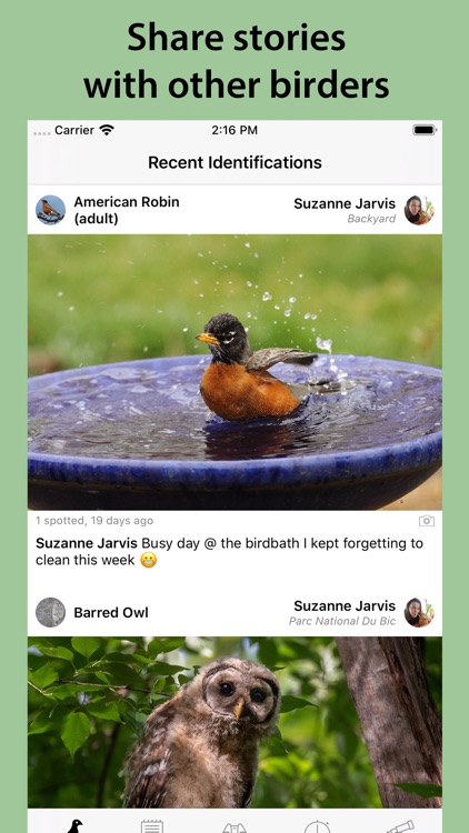 Smart Bird ID screenshot-5