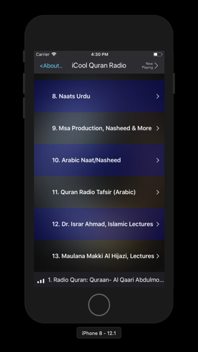 iCool Quran Radio screenshot 4