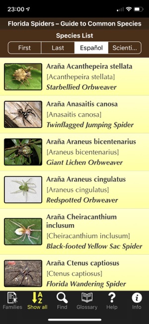 Florida Spiders(圖6)-速報App