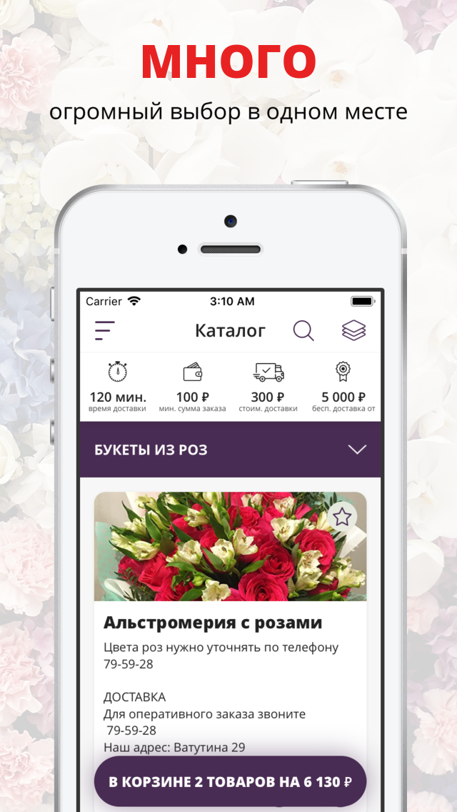 Дон Пион  Омск