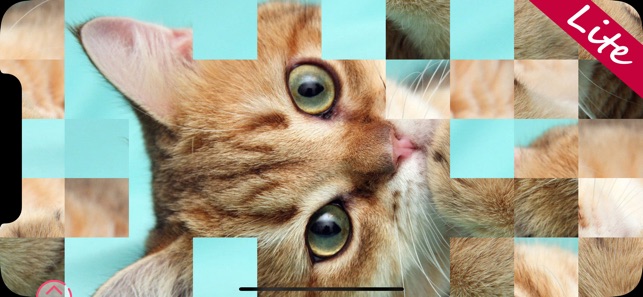 Kittens Lite - Easy Puzzle