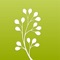 Genea is specifically written to help you with your genealogy research