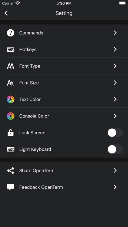 OpenTerm screenshot-3