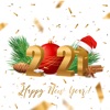 Happy New Year and Merry Xmas