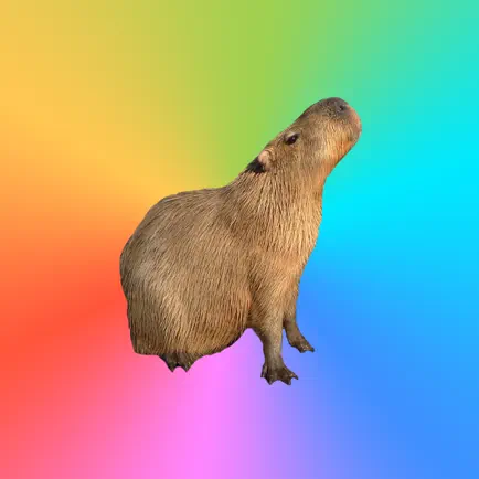Capybara Stickers for Messages Cheats