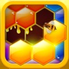 Hexa Hive Puzzle
