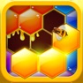 Get Hexa Hive Puzzle for iOS, iPhone, iPad Aso Report