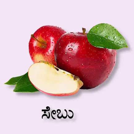 Learn Kannada Flashcards Cheats