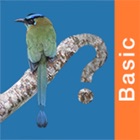 Panama Birds Field Guide Basic