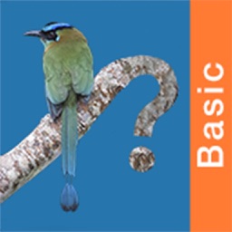 Panama Birds Field Guide Basic