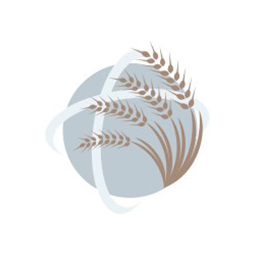 Cheyenne Apostolic Church Download