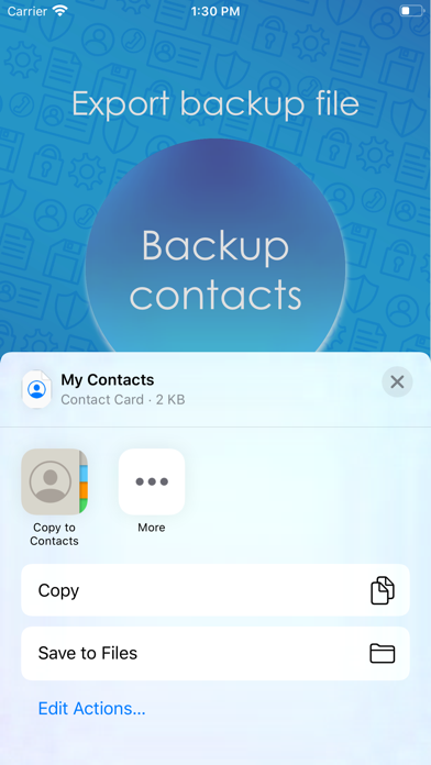 Contacts Backup File screenshot 2
