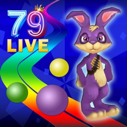 79Live Rabbit on Color Path