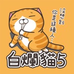 Download 白爛貓5 - 超浮誇 app