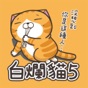 白爛貓5 - 超浮誇 app download
