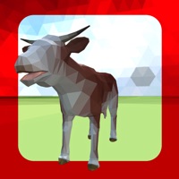 Animight - Forrest League sur PC
