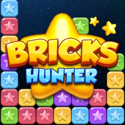 Bricks Hunter