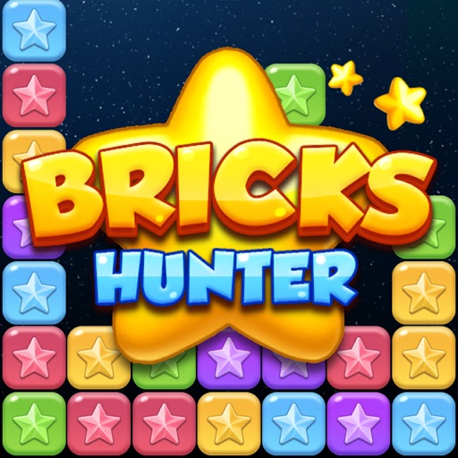 Bricks Hunter