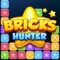 Bricks Hunter is a game you can release your stress for playing long