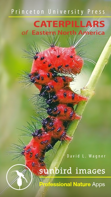 Caterpillar Id USA East Coast
