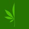 Weed culture is popping out in all parts of the world, learn to control yourself with this mariguana control app