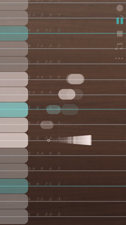 iGuzheng⁺ screenshot-3