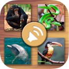Top 50 Education Apps Like Animals’ sounds for kids – Jungle, farm, marine animals and pets - Best Alternatives