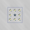 Foundry Star Alliance App