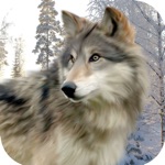 a snow wolf