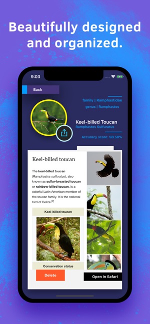 Bird Identification(圖5)-速報App