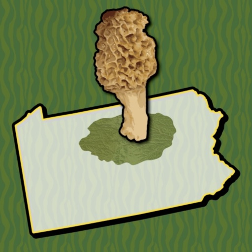 Allegheny Mushroom Forager PA Icon